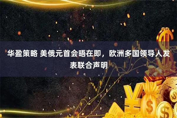 华盈策略 美俄元首会晤在即，欧洲多国领导人发表联合声明