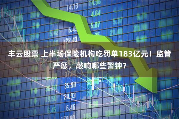 丰云股票 上半场保险机构吃罚单183亿元！监管严惩，敲响哪些警钟？