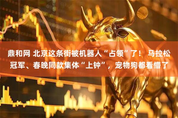 鼎和网 北京这条街被机器人“占领”了！ 马拉松冠军、春晚同款集体“上钟”，宠物狗都看懵了