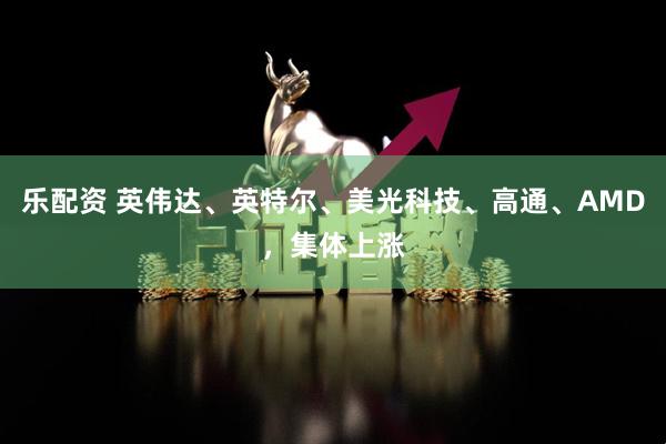乐配资 英伟达、英特尔、美光科技、高通、AMD，集体上涨