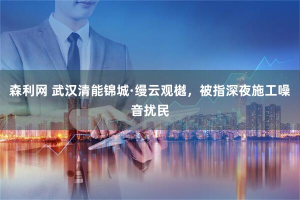 森利网 武汉清能锦城·缦云观樾，被指深夜施工噪音扰民