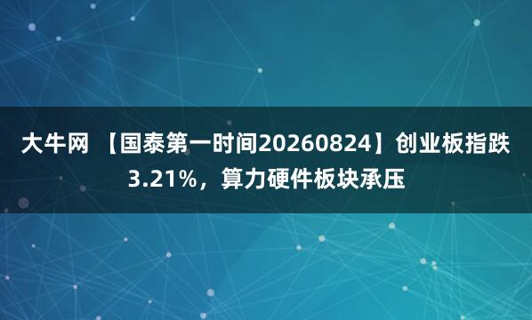 大牛网 【国泰第一时间20260824】创业板指跌3.21%，算力硬件板块承压