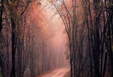 广升网:配资公司哪家好-午后 寒武纪股价短暂超越茅台 但沪指差点失守3800点！怎么回事？